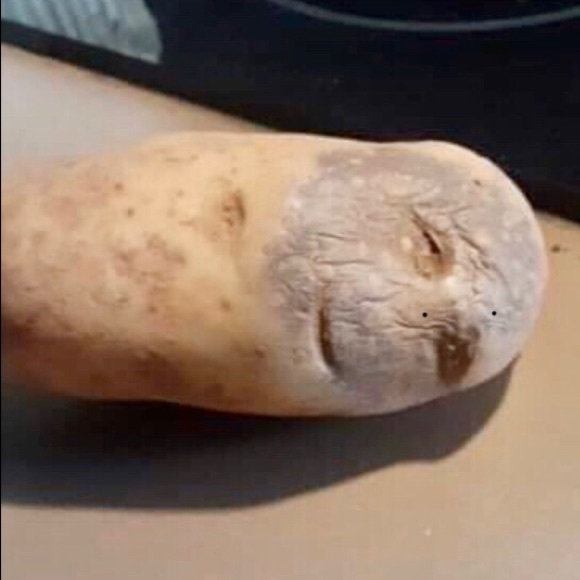 Meet your Posher, Alexander - Picture 1 of 3